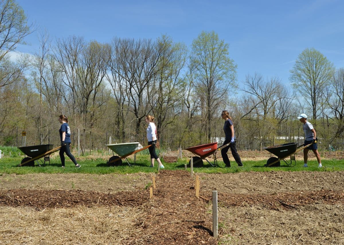 Personnes participant ensemble à un projet de jardinage