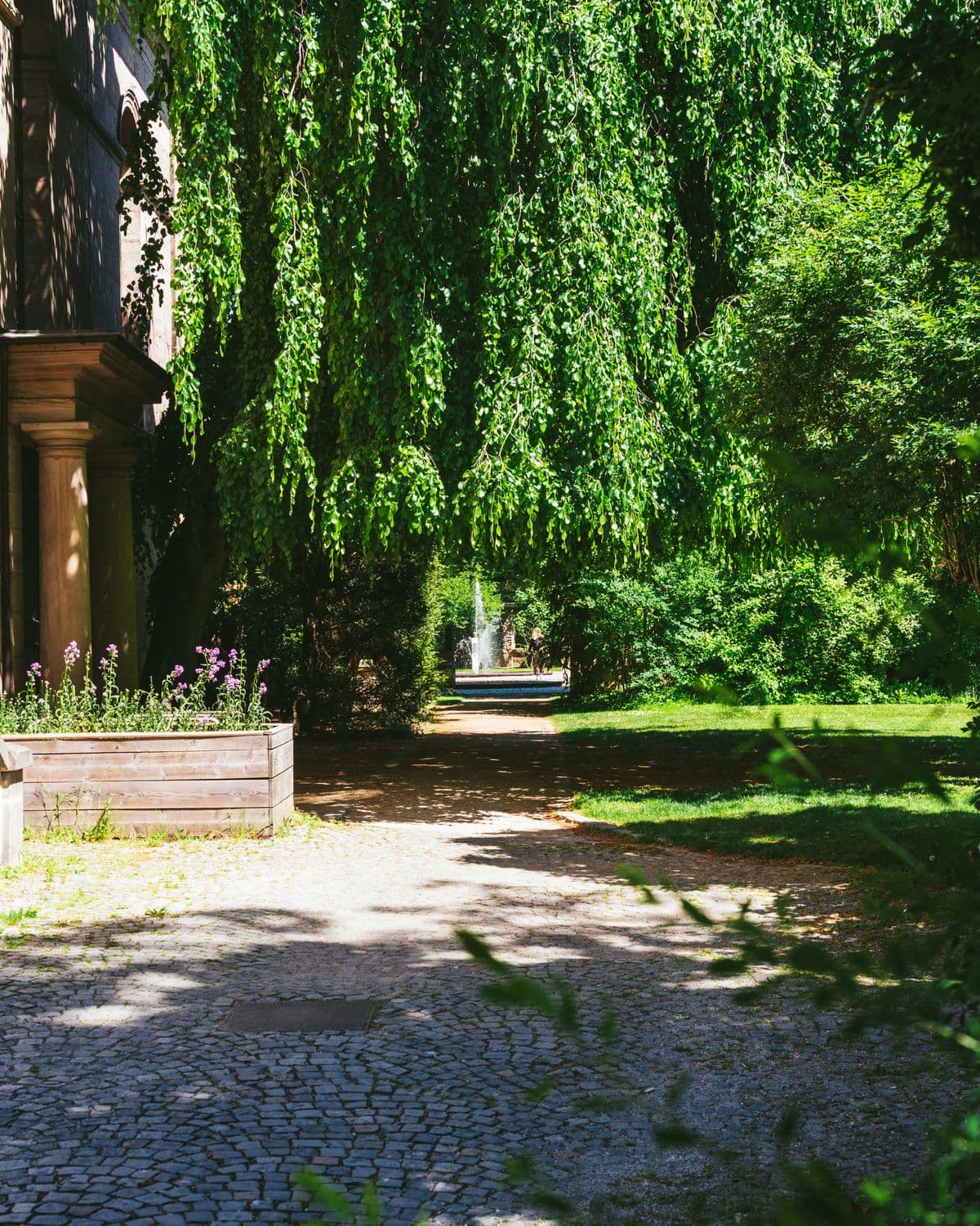 Végétation et composition d’un jardin verdoyant