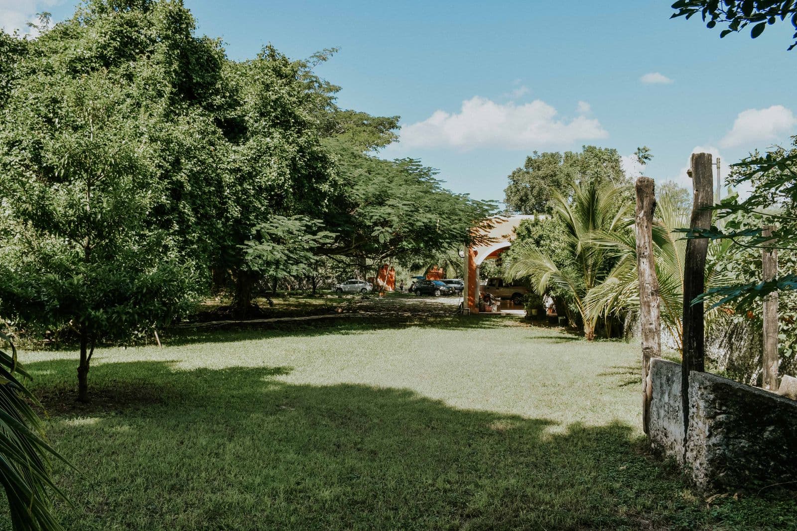Jardin paysager verdoyant aménagé autour d’une maison
